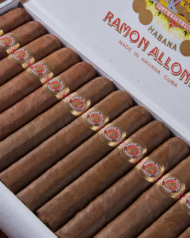 Ramon Allones Specially Selected (1 PC)