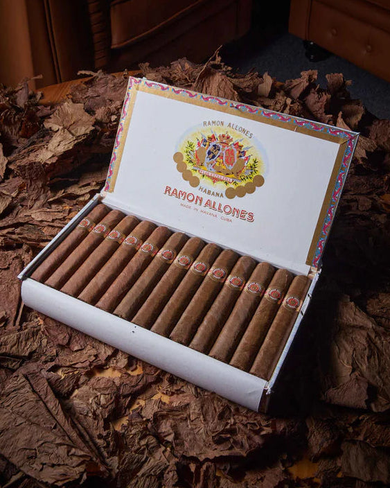 Ramon Allones Specially Selected (1 PC)