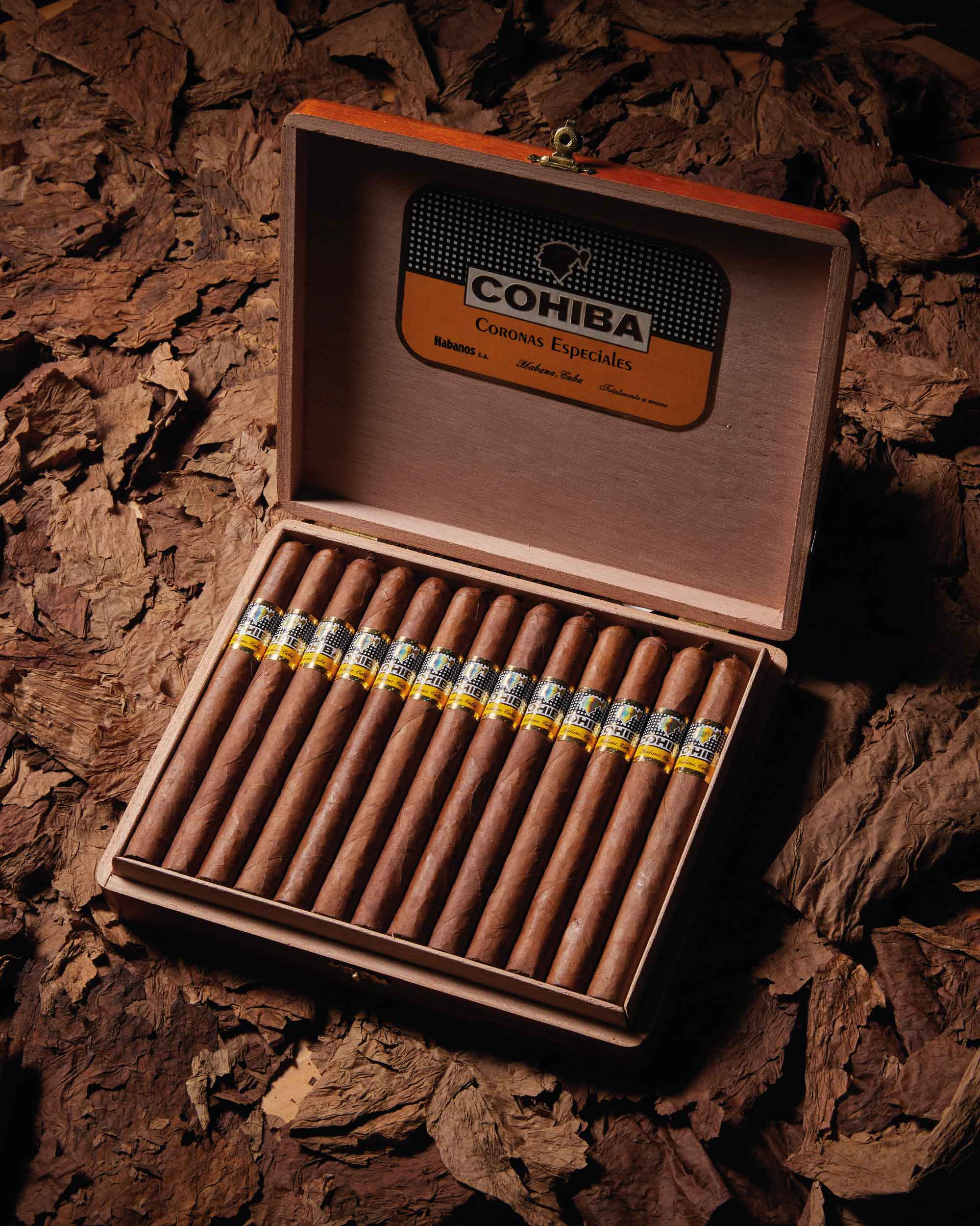 Cohiba Esplendidos 25 (1 PC)