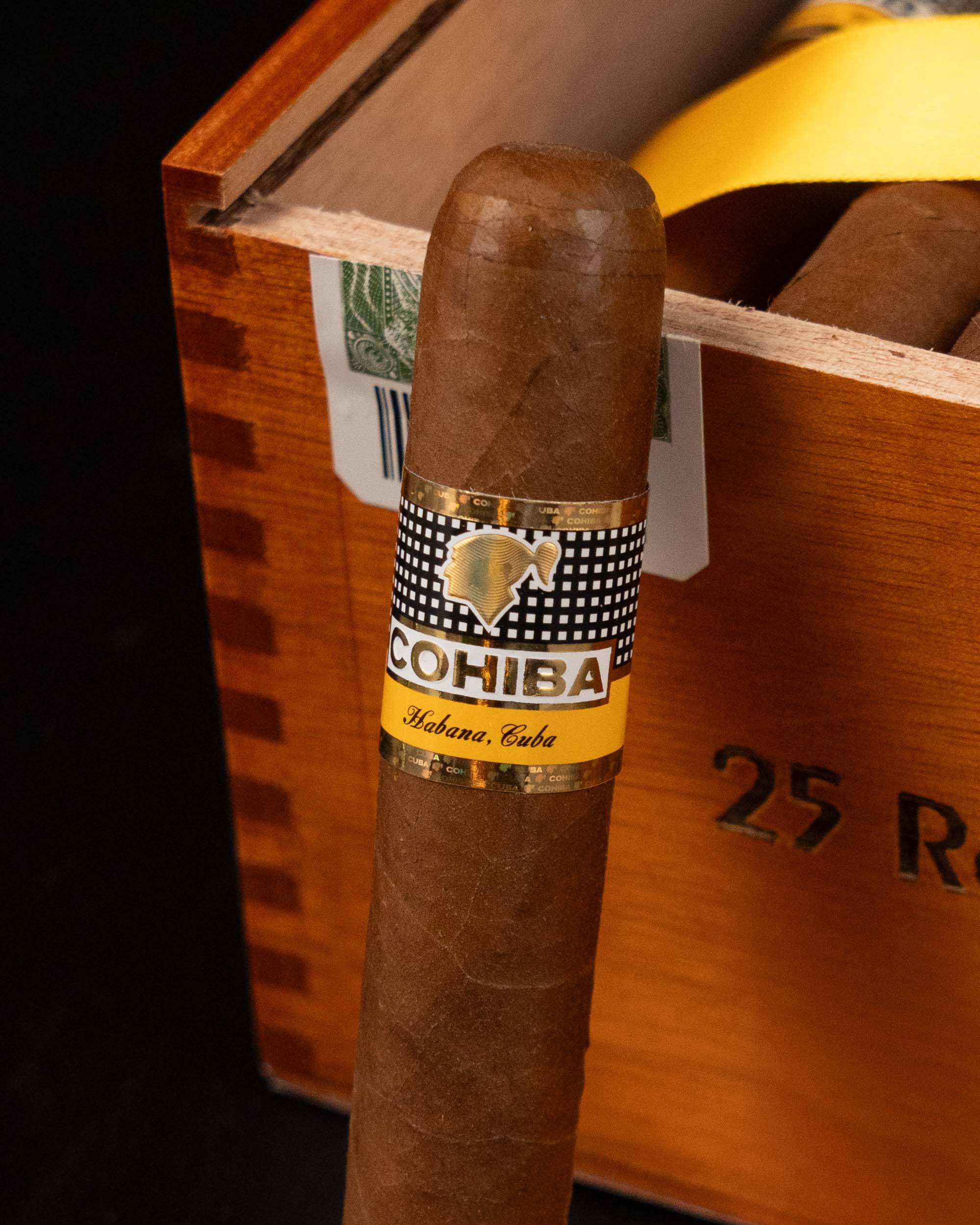 Cohiba Robustos 25 (1 PC)